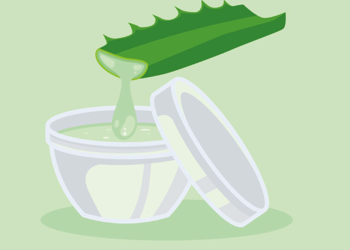 Benefícios da babosa para o cabelo: ilustração de pedaço de folha de babosa com o gel escorrendo para um pote